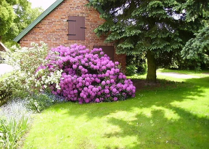 Zur-kirsche Lägenhet